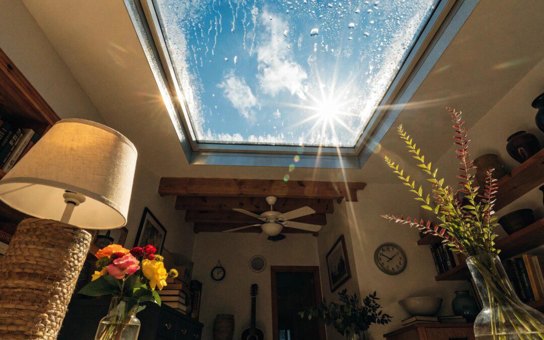 Skylight Leak Repair Services
